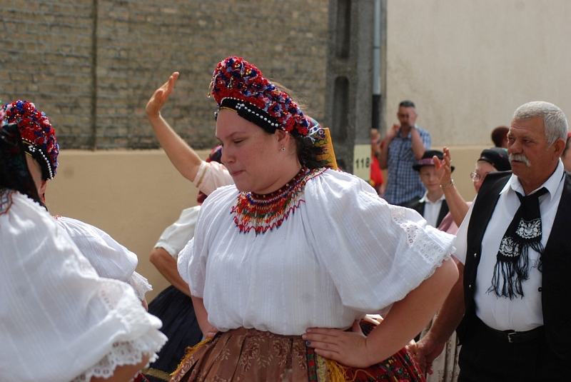 DSC_1768 (Medium).JPG